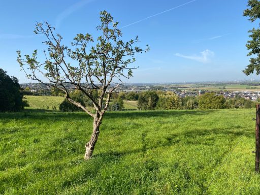 AUSSICHT AUF DIE KÖLNER BUCHT Ruhige Ferienwohnung bei Köln und Bonn