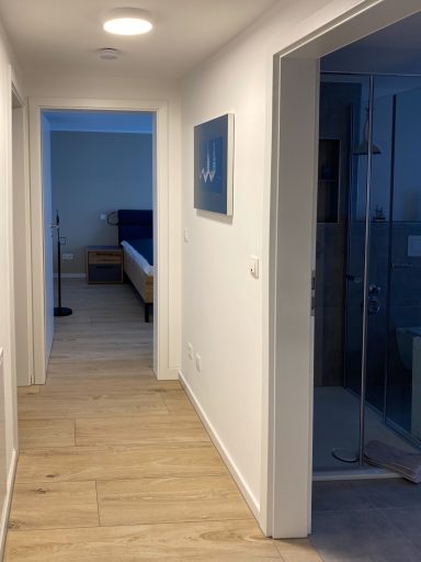 HELLE RÄUME Heller Flur mit Schlafzimmer und Duschbereich in der Nähe. Holzfußboden, moderne Einrichtung.