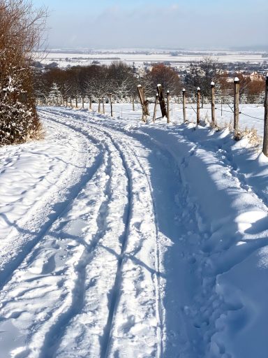 WINTERLICHE LANDSCHAFT Schneebedeckte Landschaft mit Fuß- und Reifenspuren in einer ländlichen Umgebung.