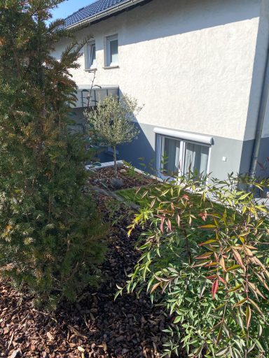 BLICK AUF DEN GARTEN Blick auf eine Gartenlandschaft mit Büschen und einem Gebäudewand im Hintergrund.